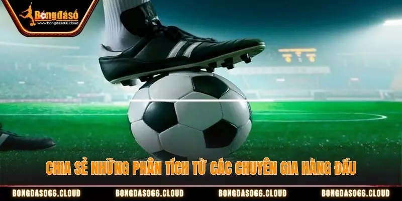 Trang Chủ 35 Bongdaso tích hợp thông tin chuyên sâu